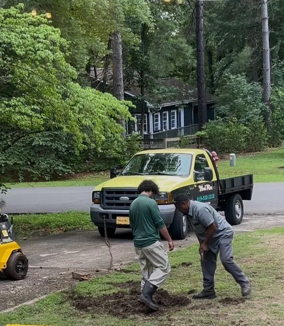 Top-rated landscape design experts serving Raleigh, NC - Weed Man