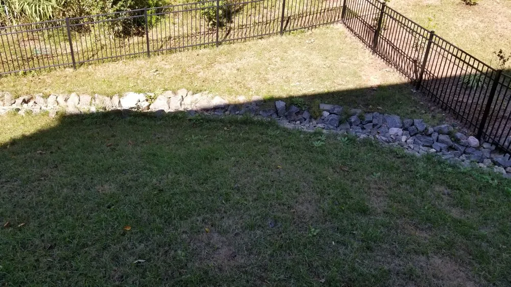 Professional yard maintenance experts serving Raleigh, NC - Weed Man