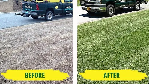 Reliable landscape design experts serving Richmond Hill, GA - Weed Man