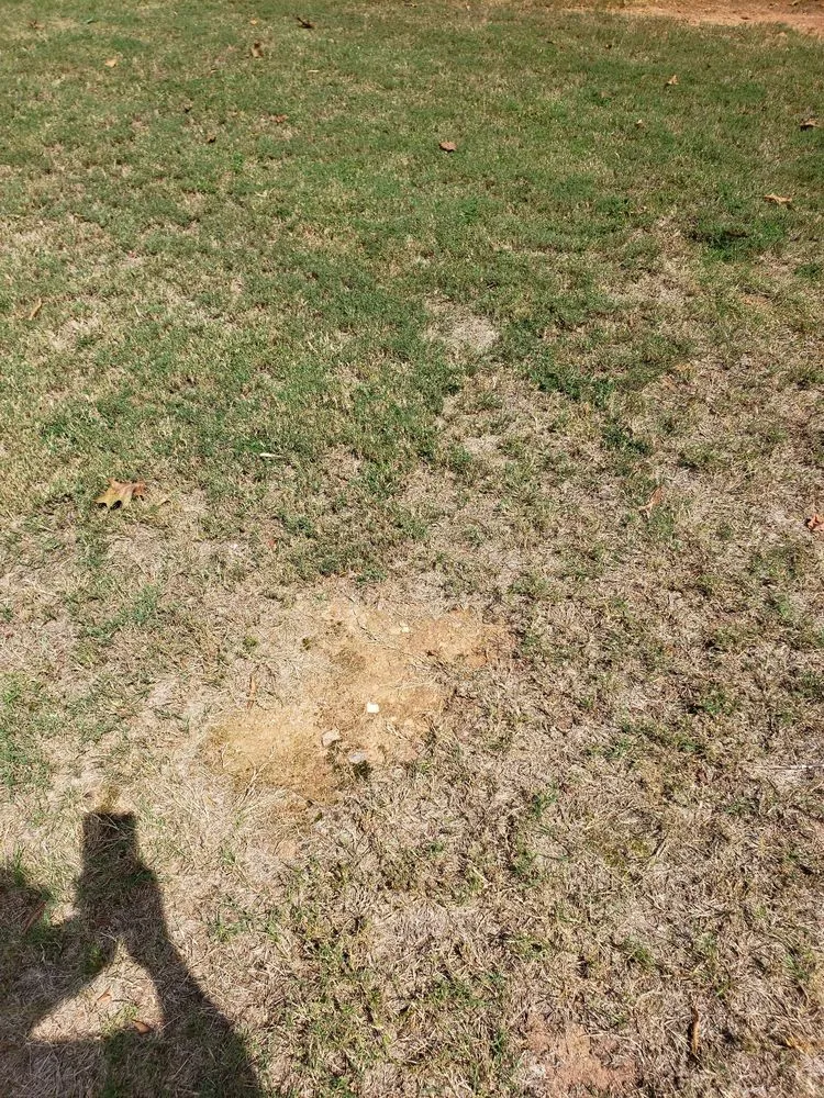 Reliable landscaping services experts serving Roswell, GA - Weed Man