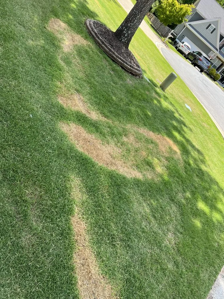 Top-rated outdoor landscaping for year-round maintenance across Roswell, GA - Weed Man