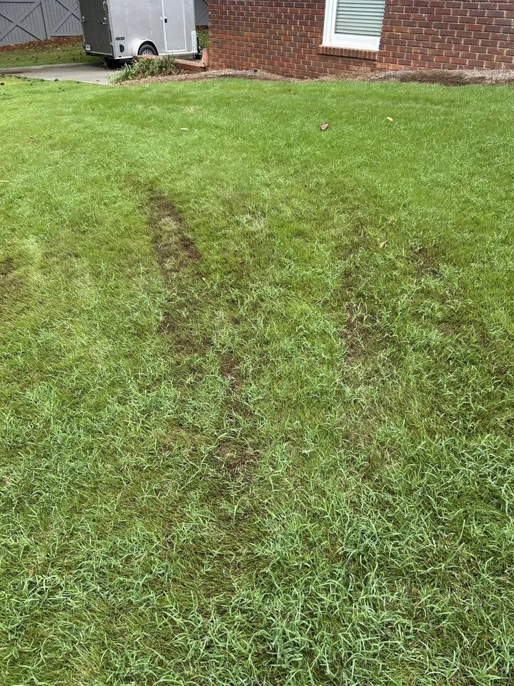 Professional landscaping services with custom design in Roswell, GA by Weed Man