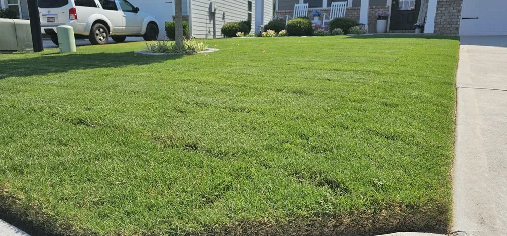 Professional outdoor landscaping in Roswell, GA by Weed Man