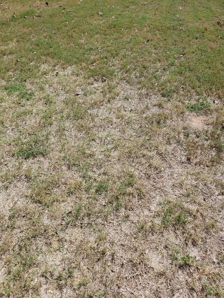 Affordable outdoor landscaping in Roswell, GA - Weed Man