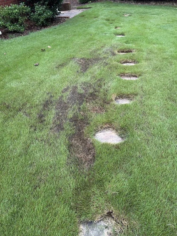 Expert landscape design in Roswell, GA by Weed Man