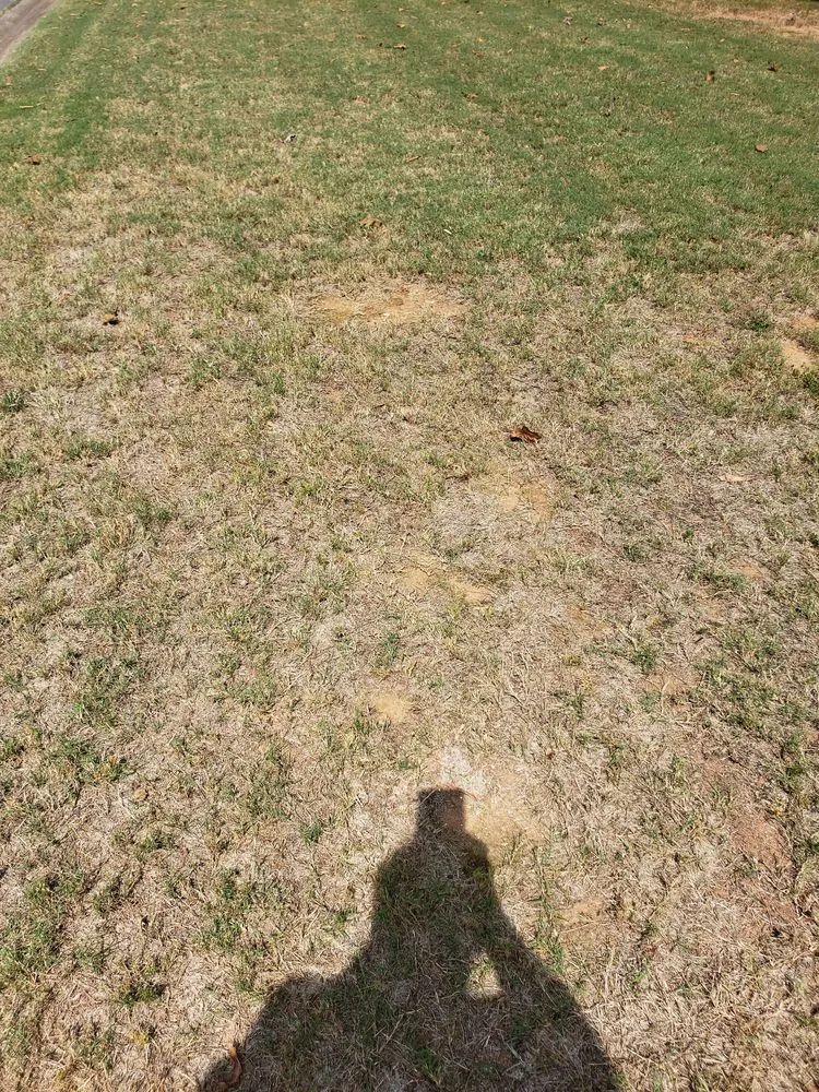 Trusted landscape installation in Roswell, GA - Weed Man