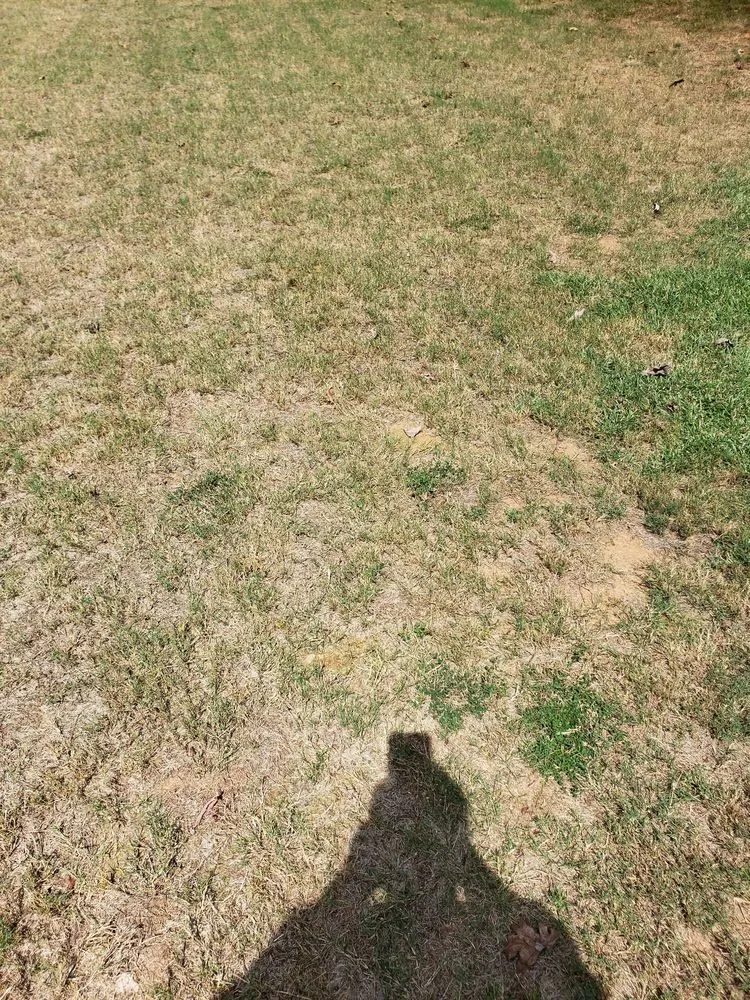 Expert garden landscaping experts serving Roswell, GA - Weed Man