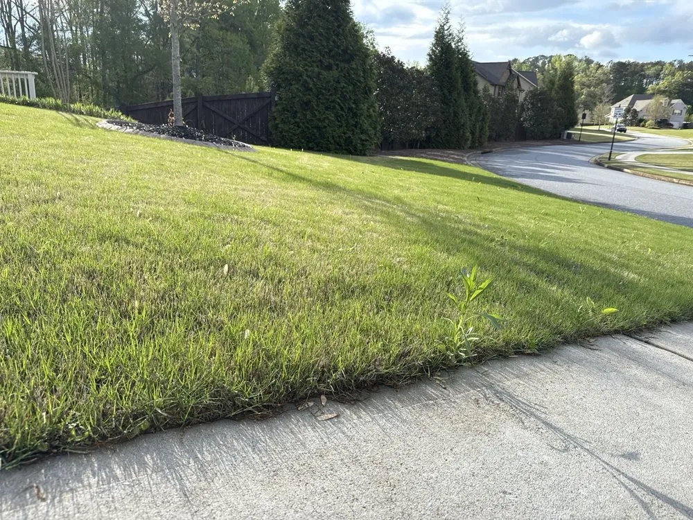 Trusted yard cleanup service for beautiful yards across Roswell, GA - Weed Man