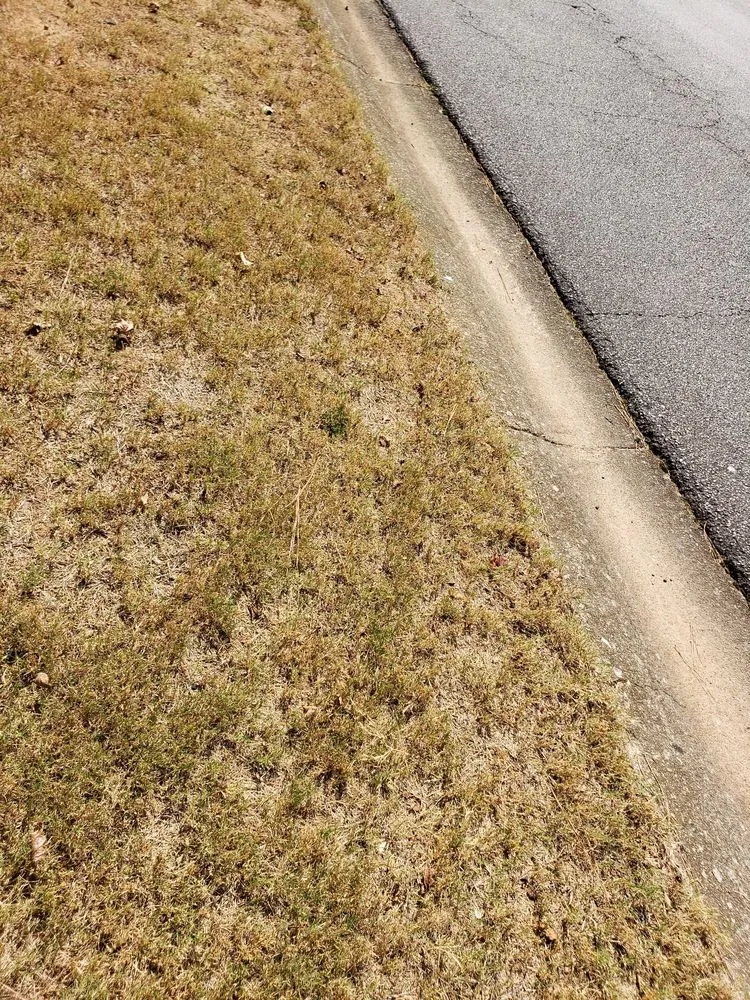 Local garden landscaping with custom design in Roswell, GA by Weed Man