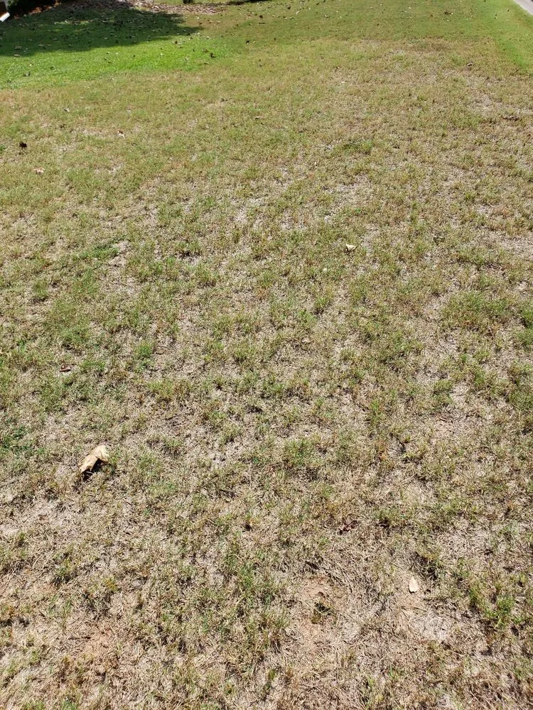 Reliable lawn mowing service for homes across Roswell, GA - Weed Man