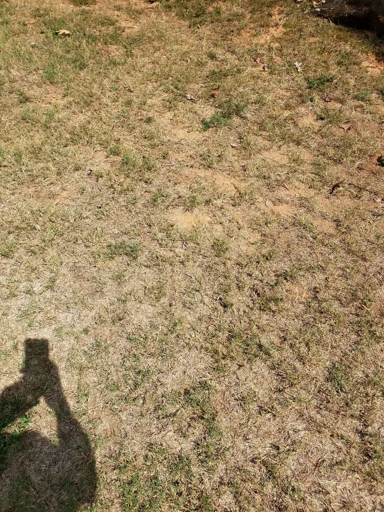 Professional landscape installation for beautiful yards in Roswell, GA by Weed Man