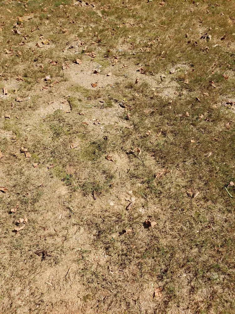 Trusted landscape installation in Roswell, GA by Weed Man