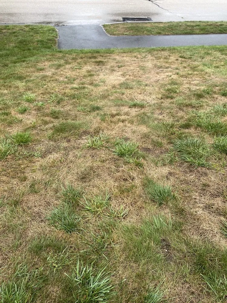 Trusted lawn mowing service for residential properties in Spencer, MA by Weed Man