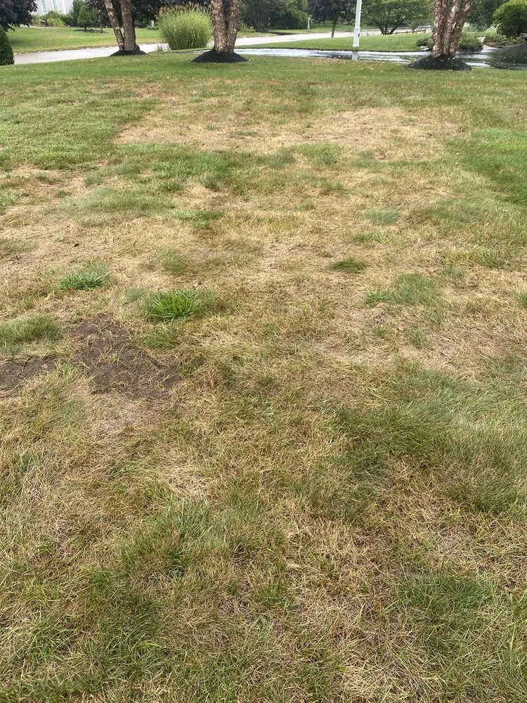 Affordable lawn care service for year-round maintenance in Spencer, MA by Weed Man