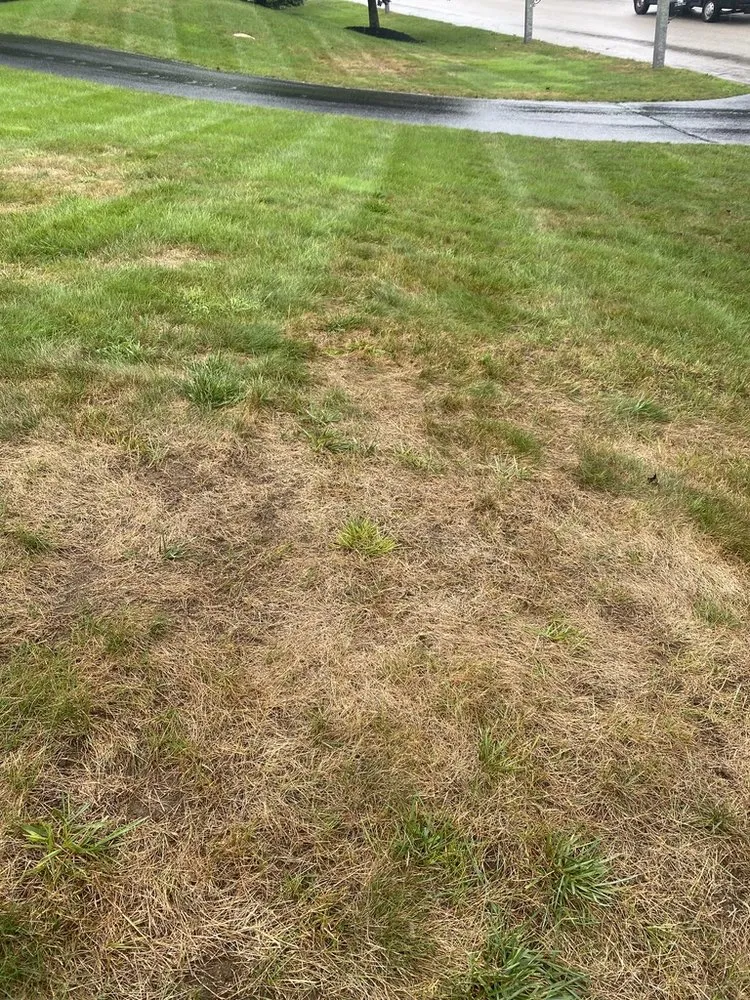 Affordable landscape installation in Spencer, MA - Weed Man