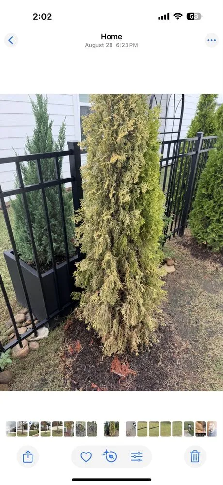 Trusted garden landscaping experts serving Springdale, AR - Weed Man