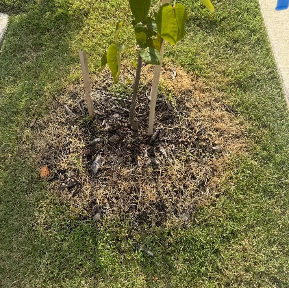 Local yard cleanup service in Springdale, AR - Weed Man