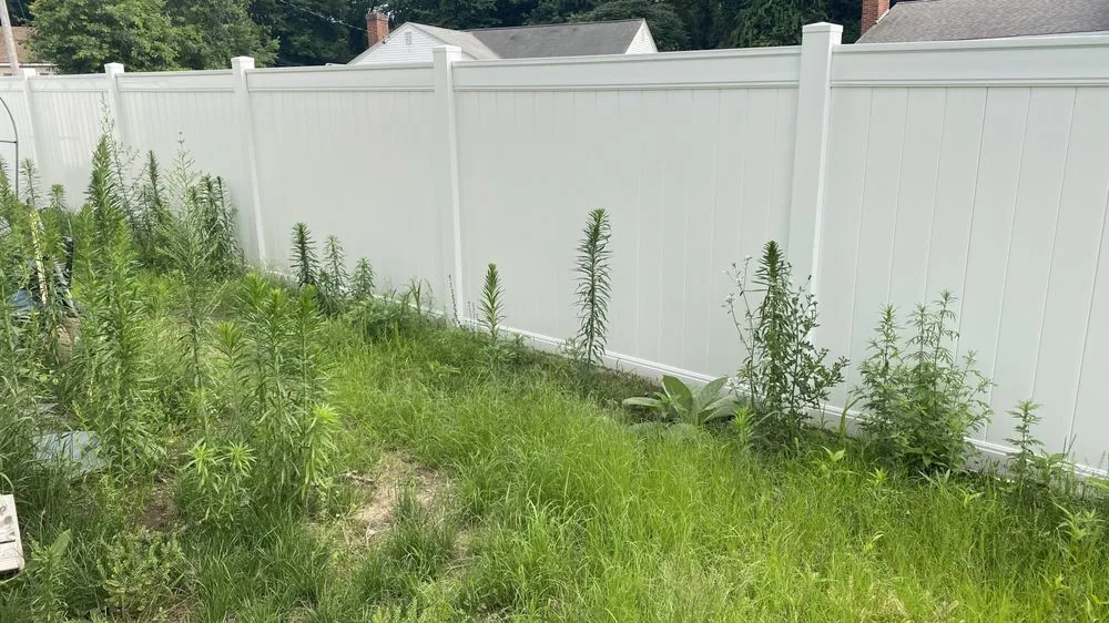 Affordable lawn care service with custom design across Springfield, MA - Weed Man