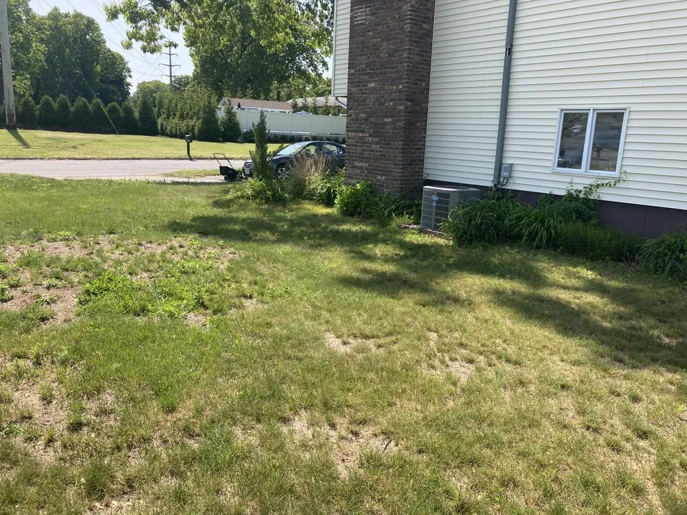 Custom yard cleanup service experts serving Springfield, MA - Weed Man