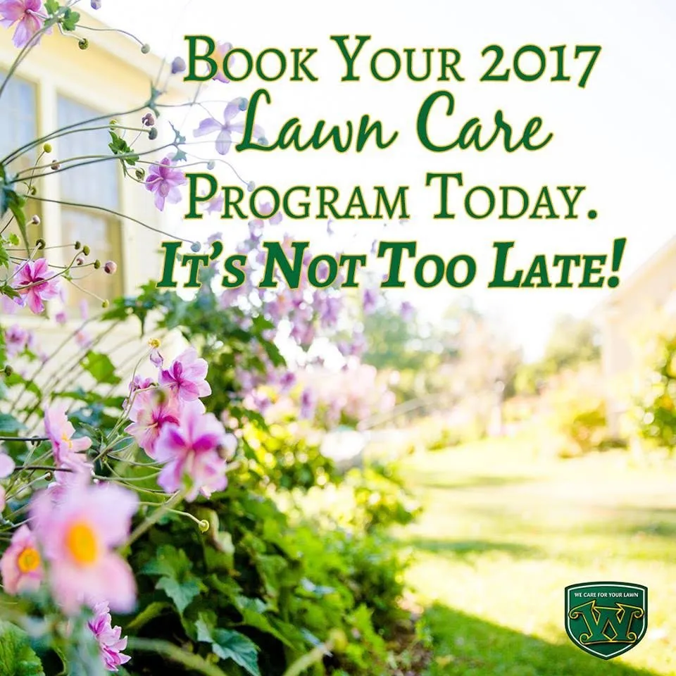 Reliable landscaping services near you in Stillwater, OK by Weed Man