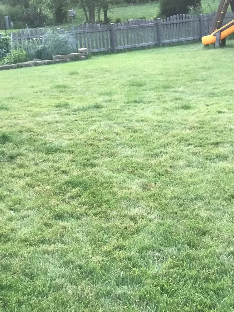 Top-rated yard maintenance in Sugar Grove, IL by Weed Man