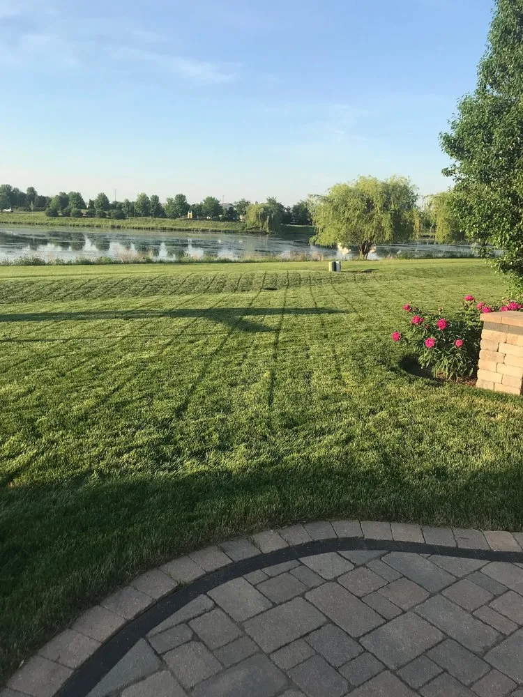 Top-rated yard cleanup service experts serving Sugar Grove, IL - Weed Man