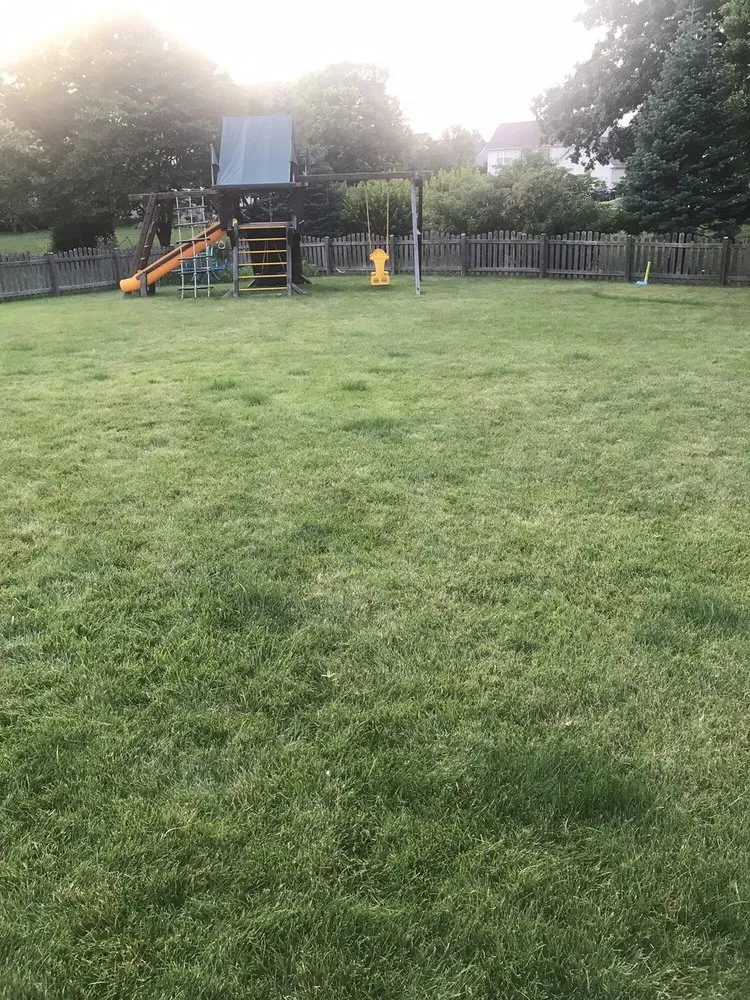 Custom landscape installation for year-round maintenance in Sugar Grove, IL by Weed Man