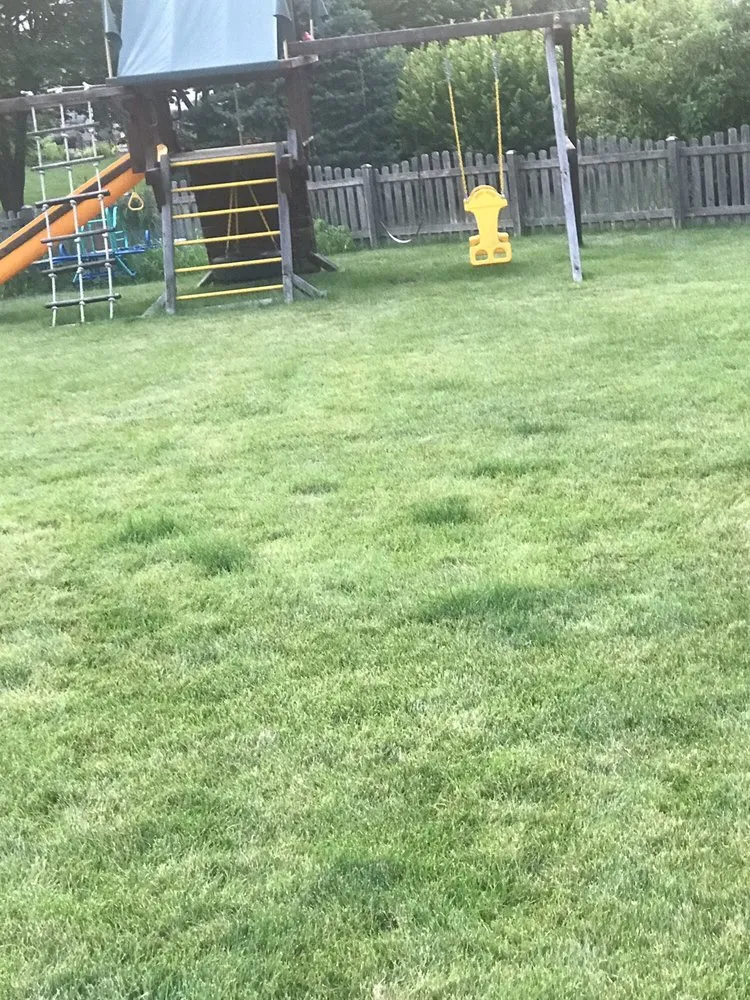 Affordable yard cleanup service in Sugar Grove, IL by Weed Man