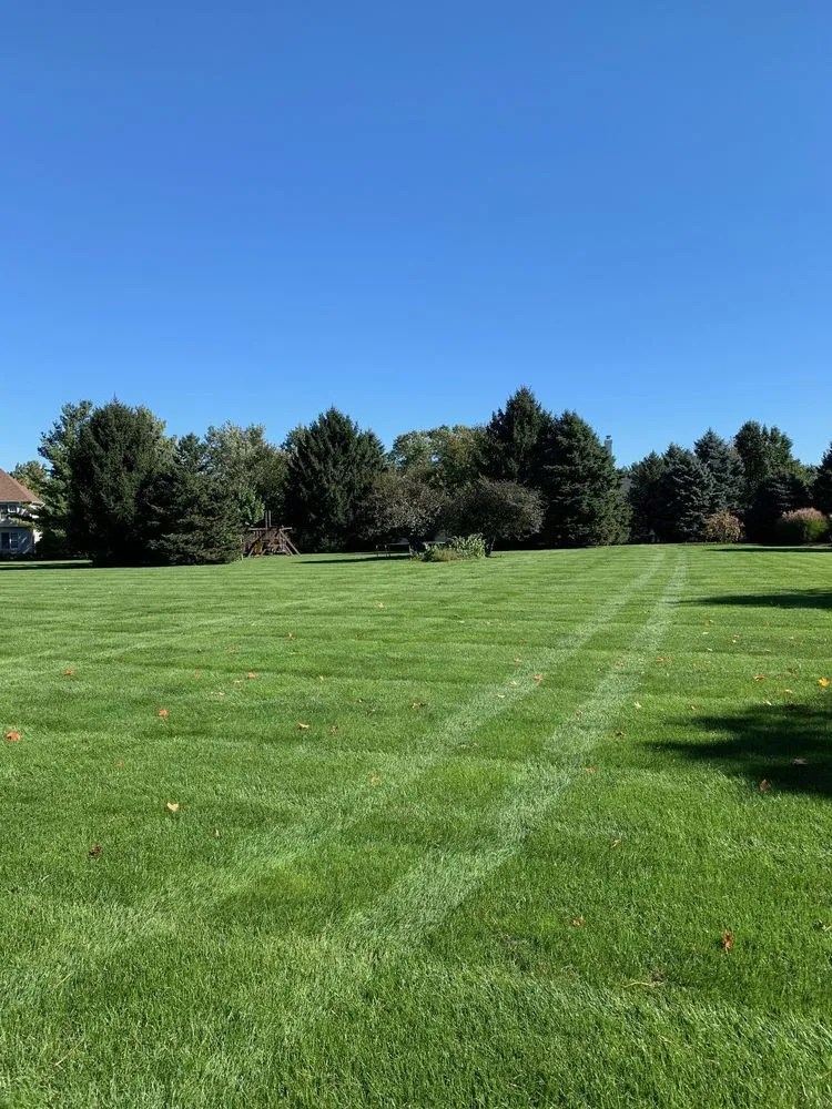 Reliable lawn mowing service with custom design across Sugar Grove, IL - Weed Man
