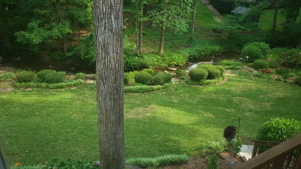 Professional lawn care service in Suwanee, GA by Weed Man