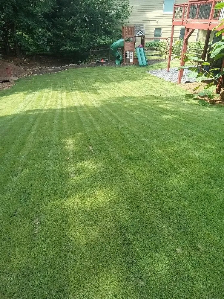 Affordable landscaping services near you in Suwanee, GA by Weed Man