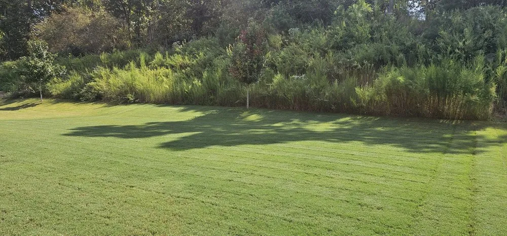 Trusted landscape design for beautiful yards in Suwanee, GA by Weed Man