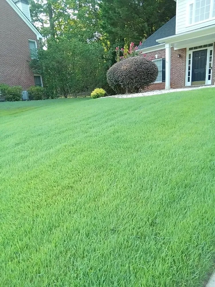 Professional lawn care service in Suwanee, GA by Weed Man