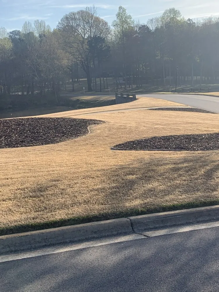 Professional lawn mowing service for outdoor upgrades in Suwanee, GA by Weed Man