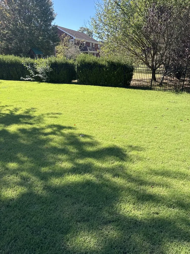 Expert lawn care service in Tampa, FL by Weed Man