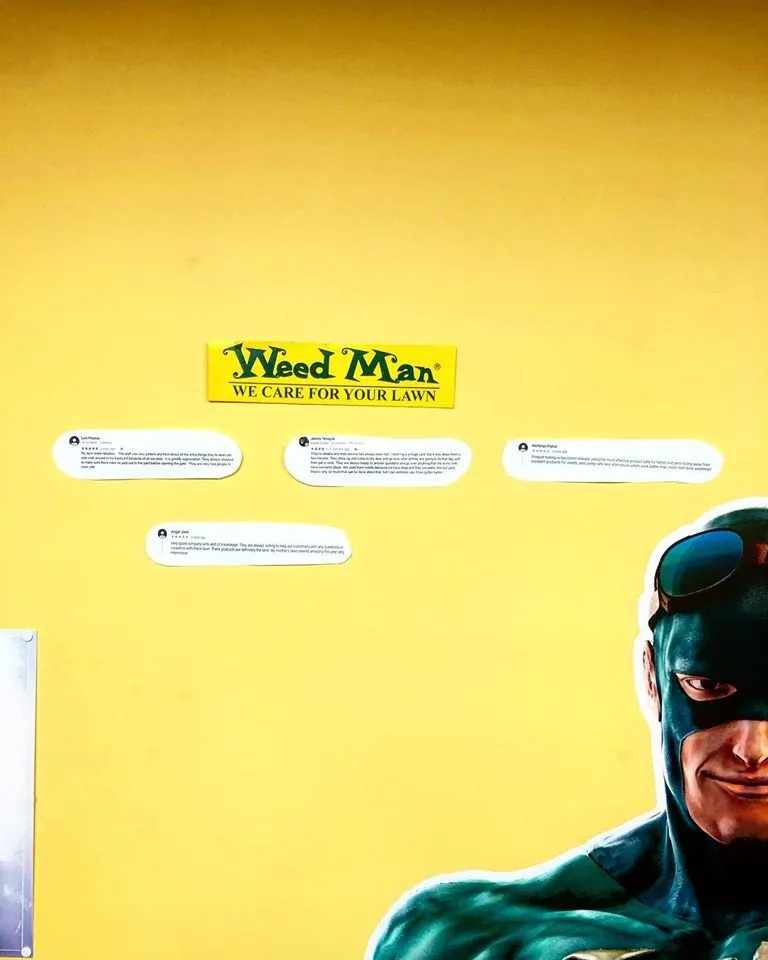 Custom landscape installation in Toledo, OH - Weed Man