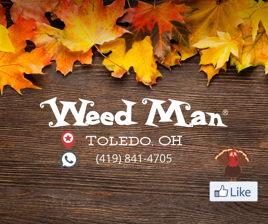 Reliable yard cleanup service near you in Toledo, OH by Weed Man
