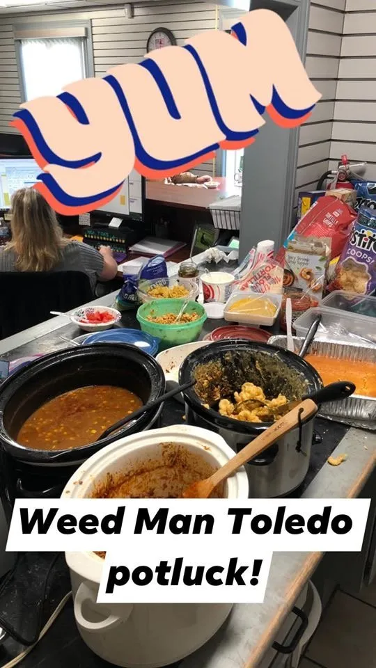 Local lawn care service experts serving Toledo, OH - Weed Man