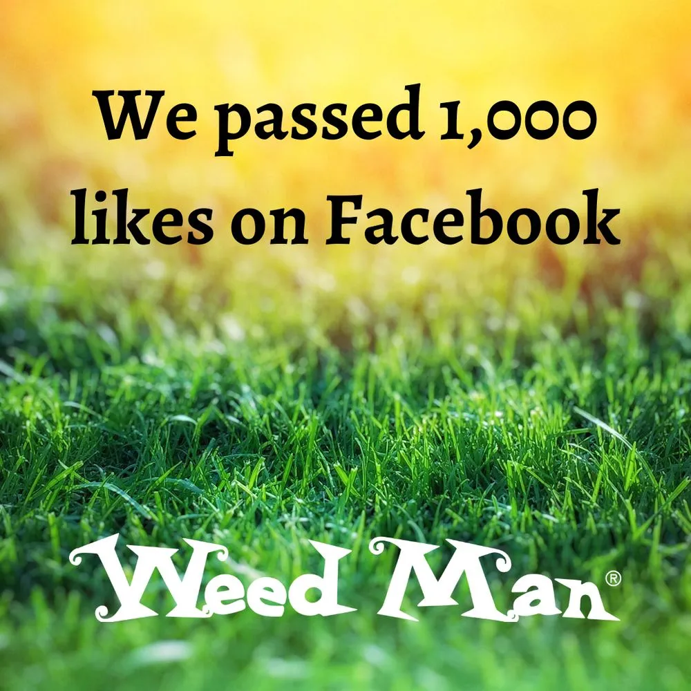 Professional lawn mowing service in Toledo, OH by Weed Man