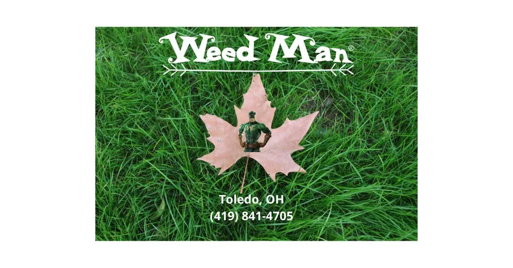 Trusted landscape installation in Toledo, OH - Weed Man