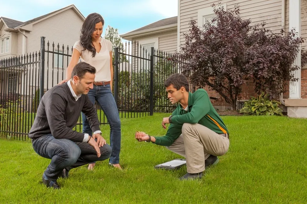 Reliable landscaping services in Traverse City, MI - Weed Man