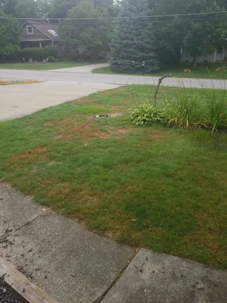 Trusted landscape installation for outdoor upgrades in Twinsburg, OH by Weed Man