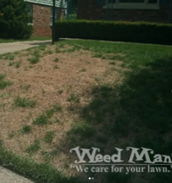 Local outdoor landscaping for homes in Twinsburg, OH by Weed Man