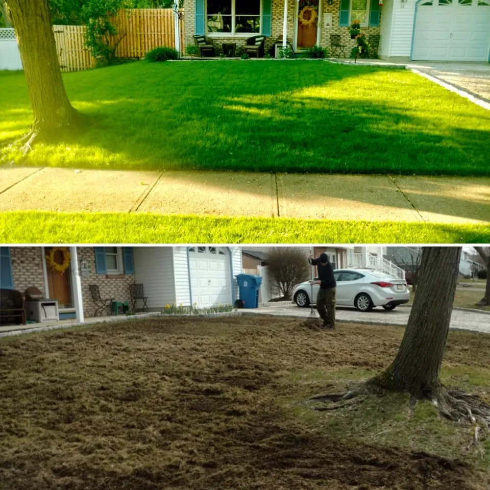 Expert lawn care service in Wall Township, NJ - Weed Man
