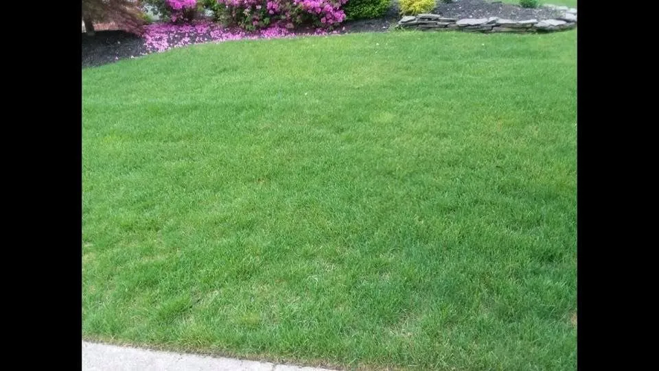 Custom landscaping services for residential properties across Wall Township, NJ - Weed Man