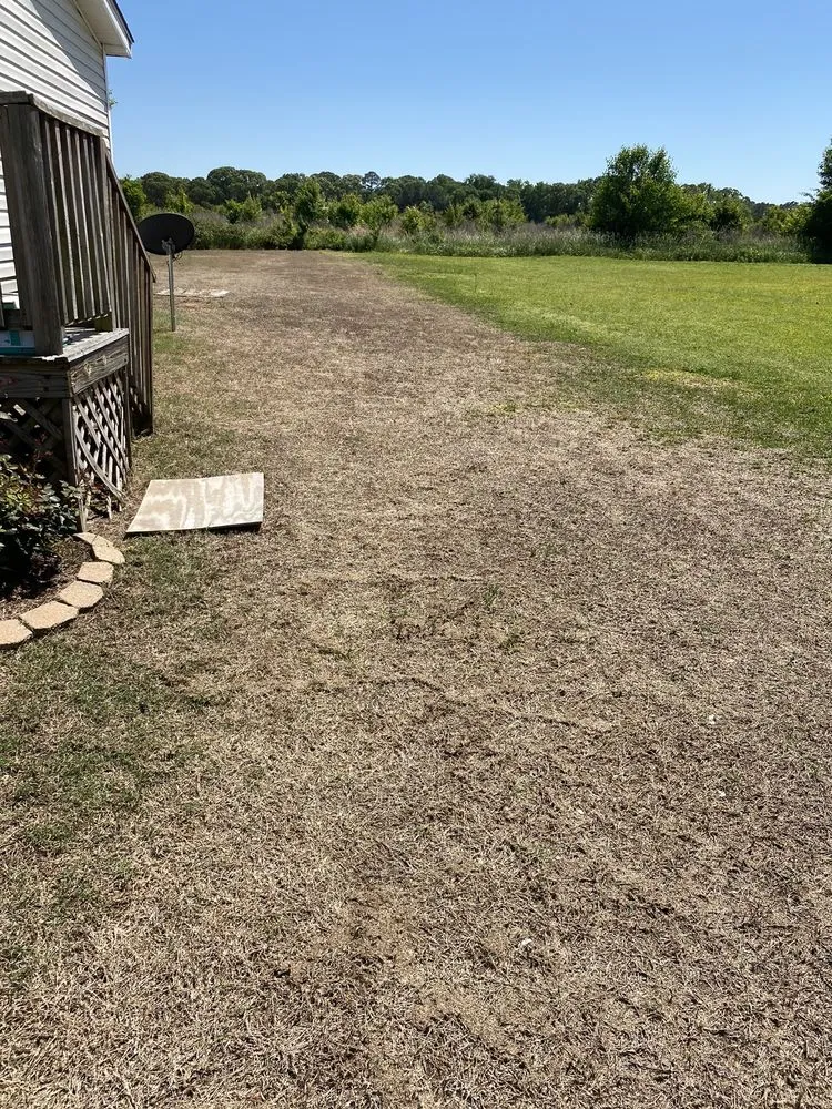 Professional landscaping services experts serving Warner Robins, GA - Weed Man