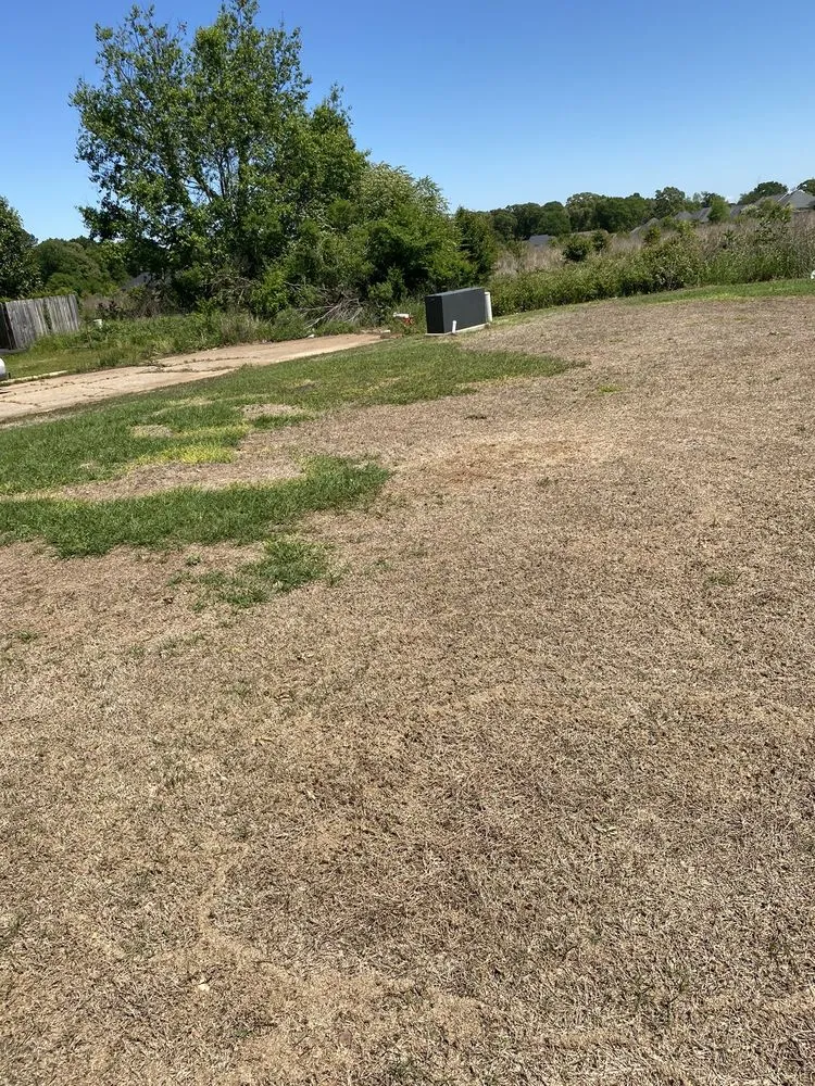 Top-rated outdoor landscaping in Warner Robins, GA by Weed Man