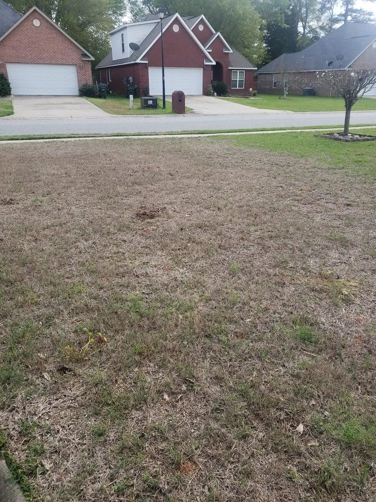 Custom residential landscaping experts serving Warner Robins, GA - Weed Man