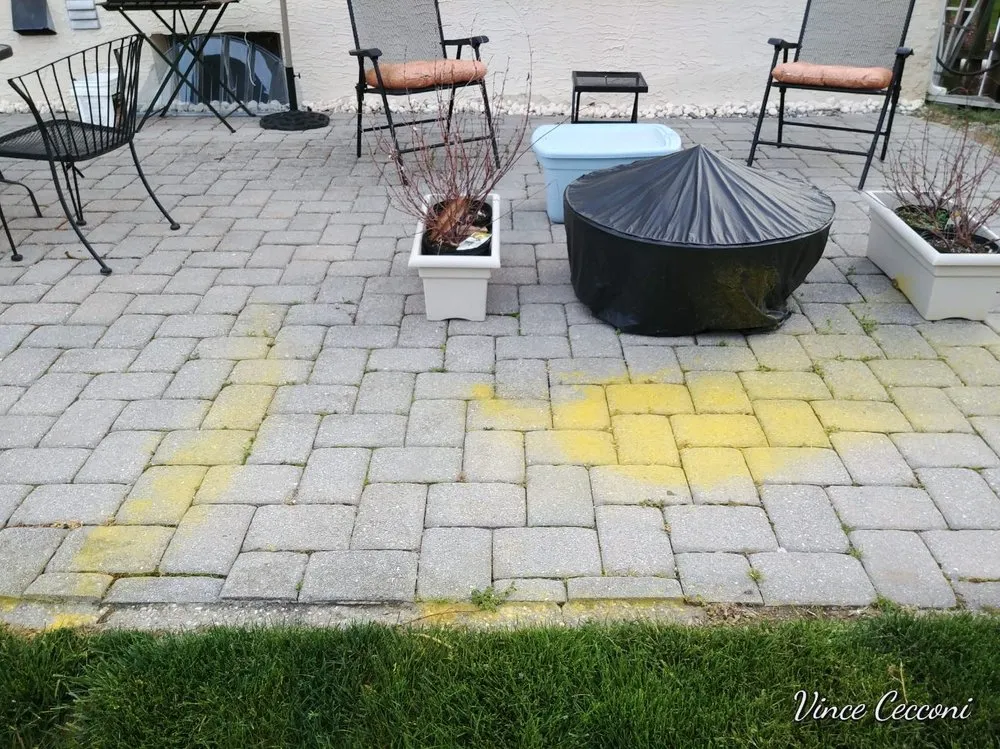 Top-rated yard maintenance experts serving West Chester, PA - Weed Man