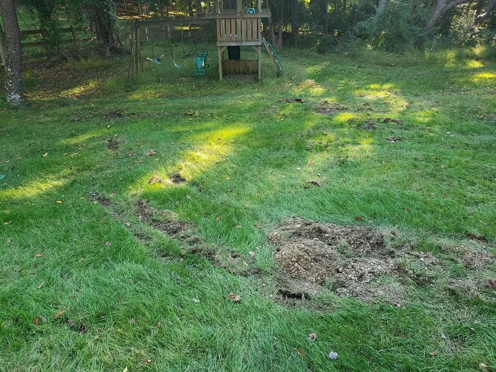 Custom residential landscaping for outdoor upgrades across West Chester, PA - Weed Man